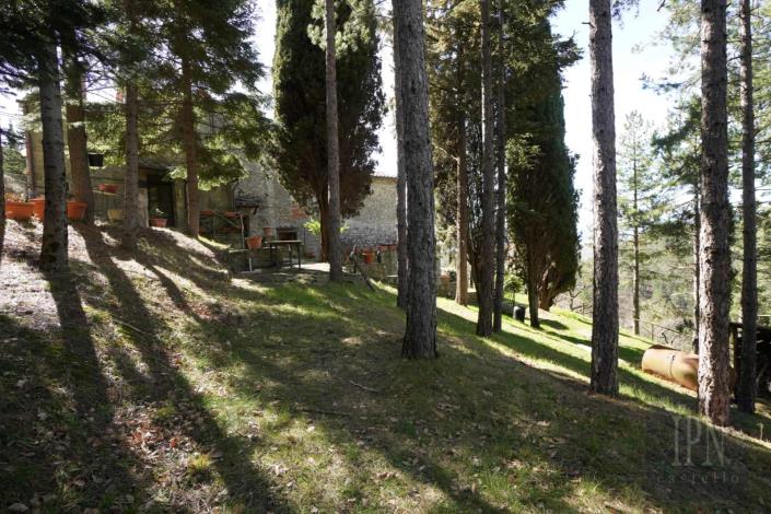 Image No.11-7 Bed Farmhouse for sale