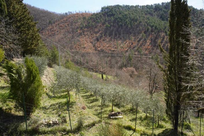Image No.52-7 Bed Farmhouse for sale