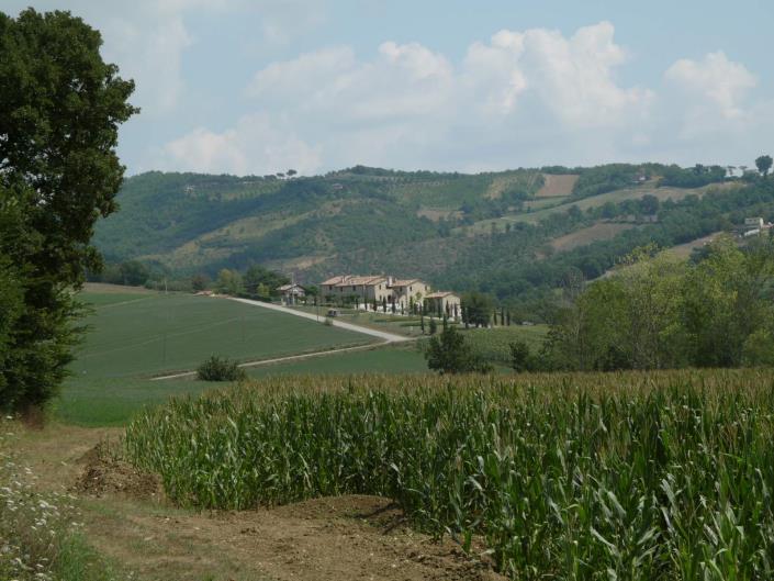 Image No.15-Ferme de 3 chambres à vendre à Umbertide