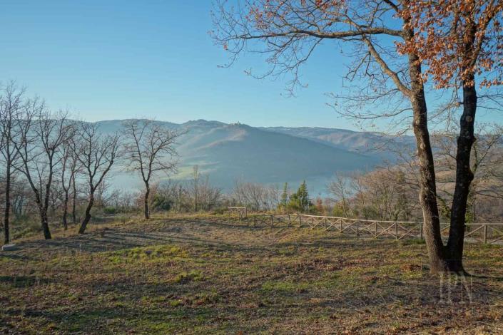 Image No.49-5 Bed Farmhouse for sale