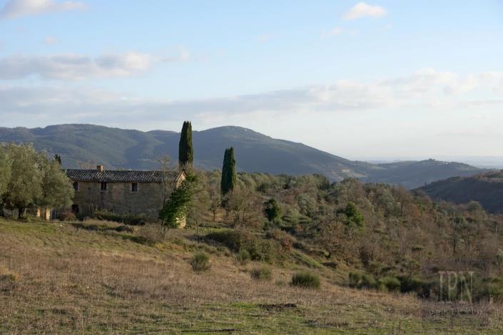Image No.20-Ferme à vendre à Corciano