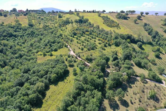 Image No.6-3 Bed House for sale