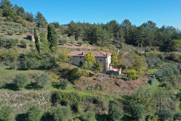 Image No.4-Ferme de 3 chambres à vendre à Monte Santa Maria Tiberina