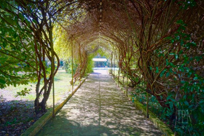 Image No.26-19 Bed Hotel for sale