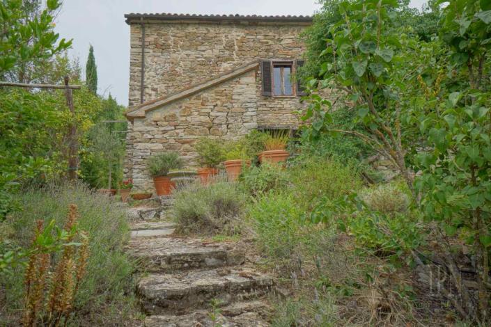 Image No.31-Ferme de 6 chambres à vendre à Monte Santa Maria Tiberina