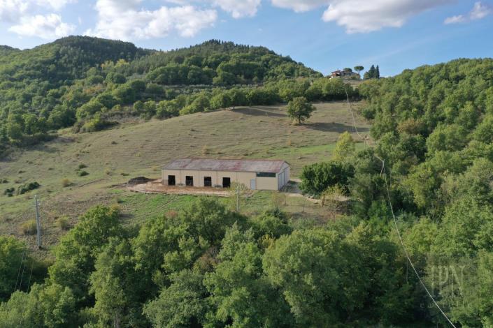 Image No.5-Ferme de 5 chambres à vendre à Umbertide