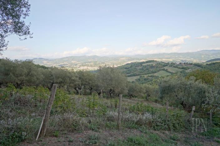 Image No.16-Ferme de 5 chambres à vendre à Umbertide