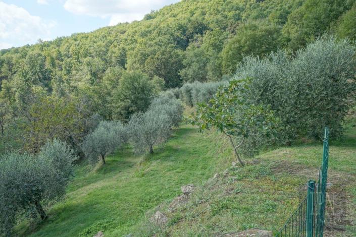 Image No.15-3 Bed Villa for sale