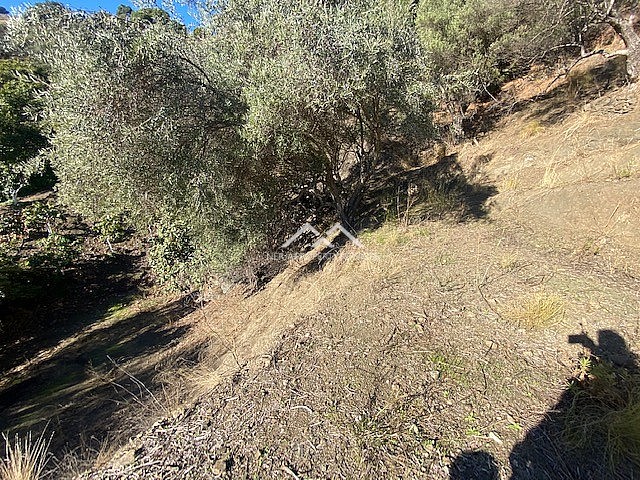 Image No.16-Property for sale