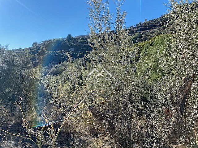 Image No.22-Property for sale