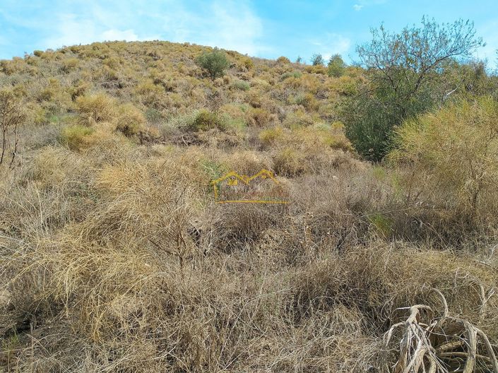 Image No.9-Propriété à vendre à Frigiliana
