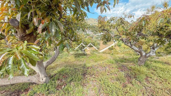 Image No.30-Propriété de 3 chambres à vendre à Frigiliana