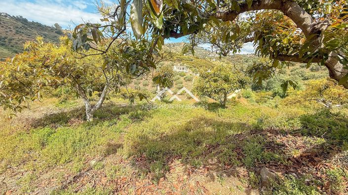 Image No.32-Propriété de 3 chambres à vendre à Frigiliana