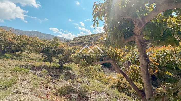 Image No.31-3 Bed Property for sale