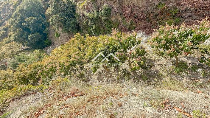 Image No.36-3 Bed Property for sale