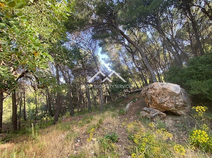 Image No.10-Propriété à vendre à Frigiliana