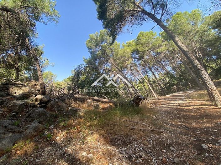 Image No.15-Propriété à vendre à Frigiliana