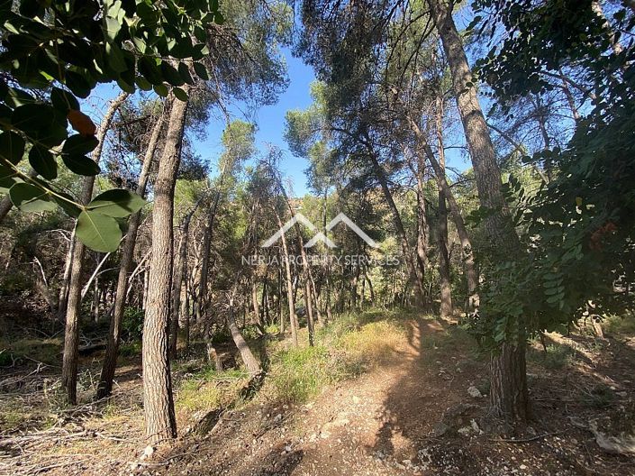 Image No.18-Propriété à vendre à Frigiliana