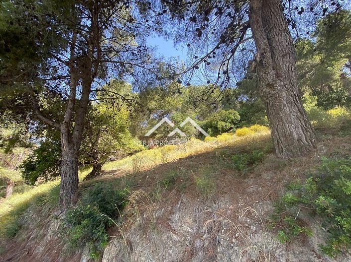 Image No.31-Propriété à vendre à Frigiliana