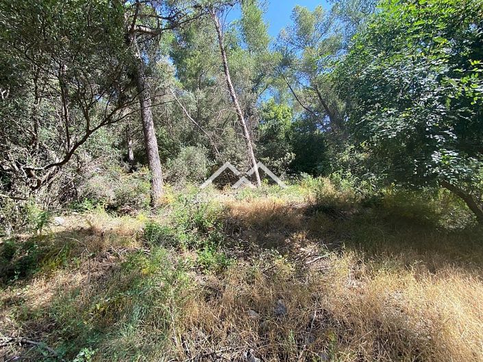 Image No.35-Propriété à vendre à Frigiliana
