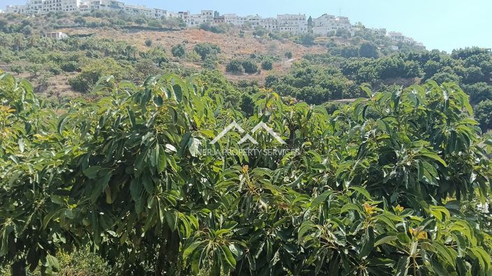 Image No.4-Propriété à vendre à Frigiliana