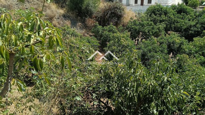 Image No.5-Propriété à vendre à Frigiliana