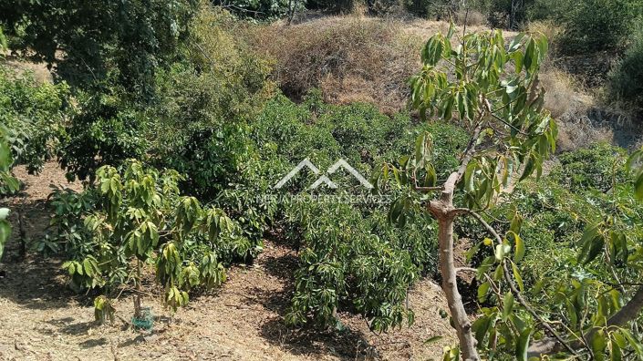 Image No.6-Propriété à vendre à Frigiliana