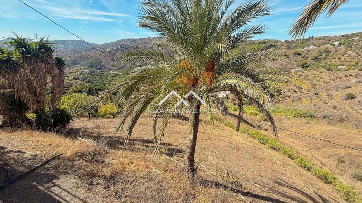 Image No.32-Villa de 3 chambres à vendre à Frigiliana