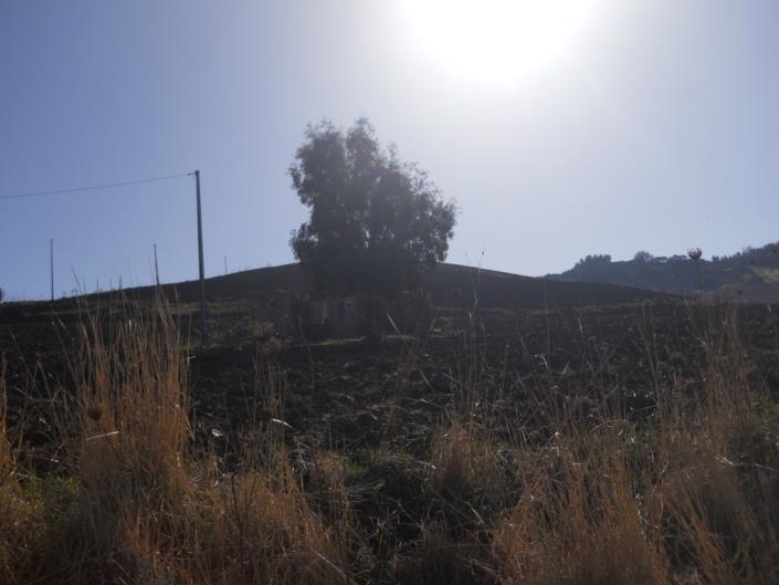 Image No.20-4 Bed Land for sale