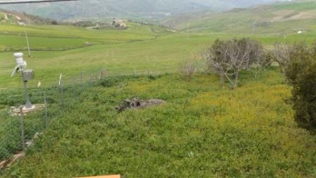 Image No.18-3 Bed Villa for sale