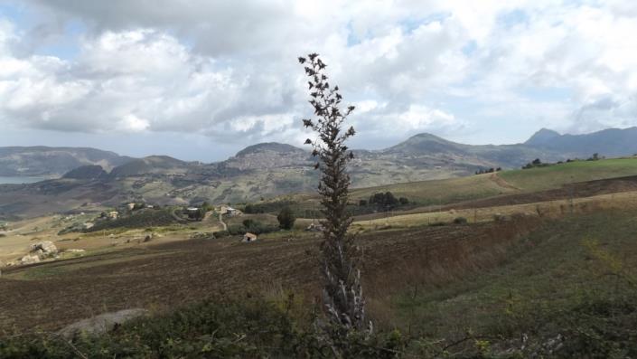 Image No.13-Villa de 3 chambres à vendre à Caccamo