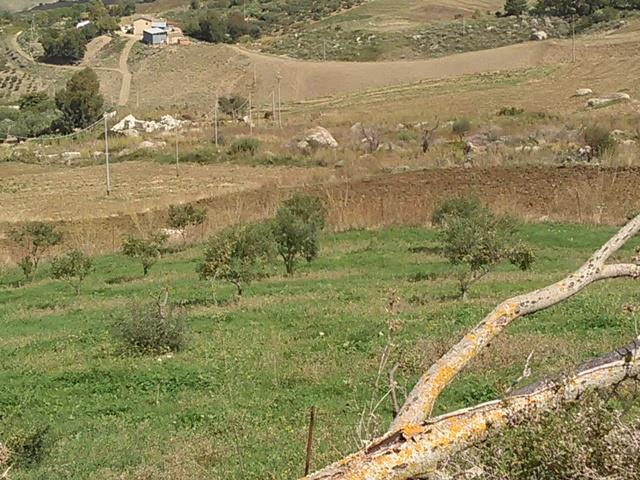 Image No.20-Villa de 3 chambres à vendre à Caccamo