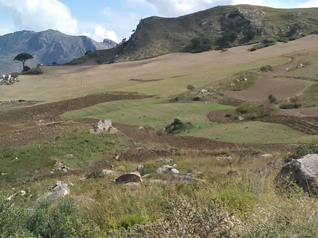 Image No.19-Villa de 3 chambres à vendre à Caccamo