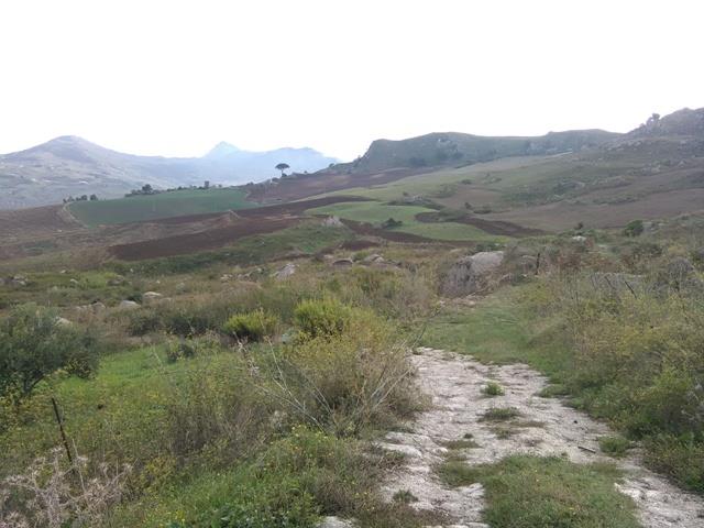 Image No.23-Villa de 3 chambres à vendre à Caccamo