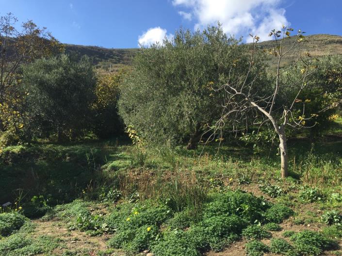 Image No.15-3 Bed Villa for sale