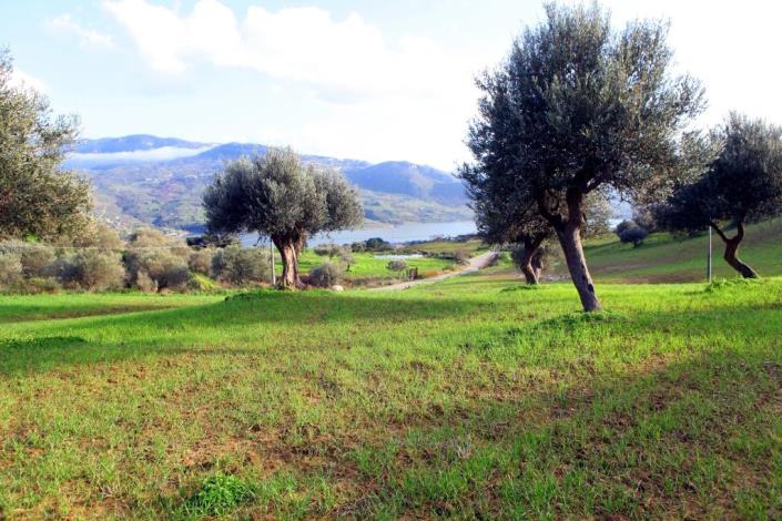 Image No.3-6 Bed Land for sale