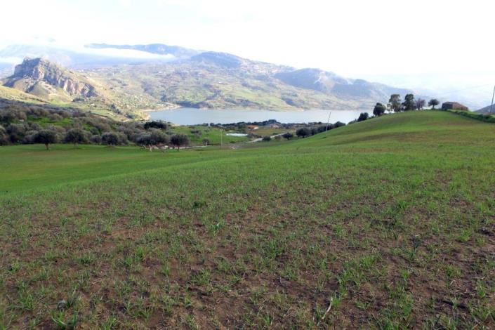 Image No.10-6 Bed Land for sale