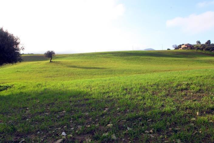 Image No.14-6 Bed Land for sale