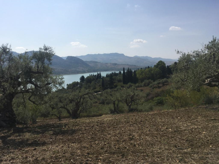 Image No.7-1 Bed Land for sale