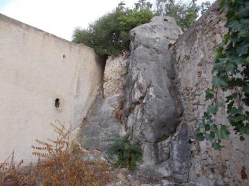 Randazzo-Giuseppa---Co-06