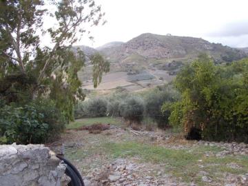 Randazzo-Giuseppa---Co-08