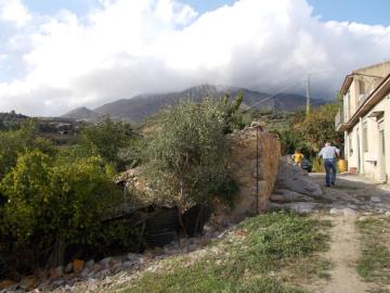 Randazzo-Giuseppa---Co-10