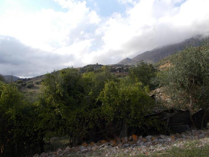 Image No.9-4 Bed Villa for sale