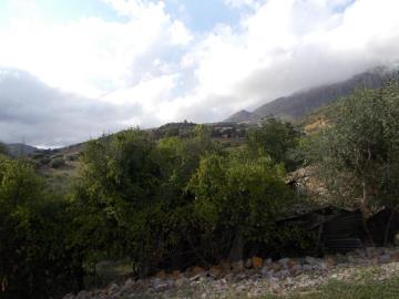 Randazzo-Giuseppa---Co-09