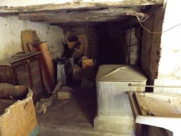 Muriella-g-pp---Ci-01