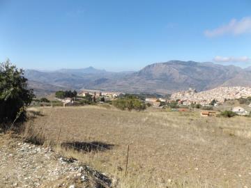 Muriella-g-pp---Ci-05