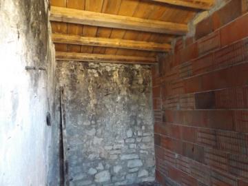 Muriella-g-pp---Ci-06