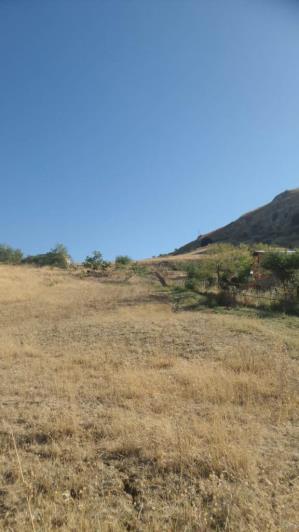 Image No.10-1 Bed Villa for sale