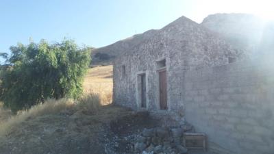 Muriella-g-pp---Ci-13