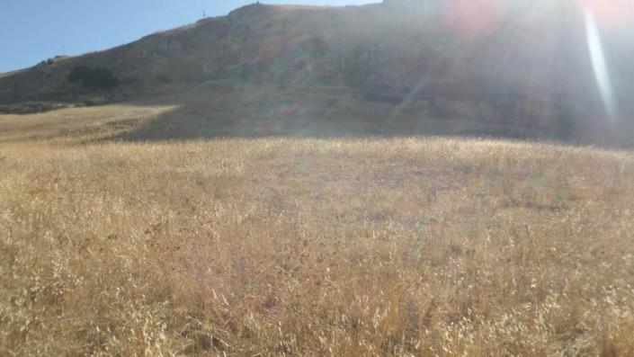 Image No.15-1 Bed Villa for sale